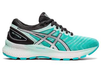 Asics Kadın GEL-NIMBUS LITE Koşu Ayakkabısı TR108RI